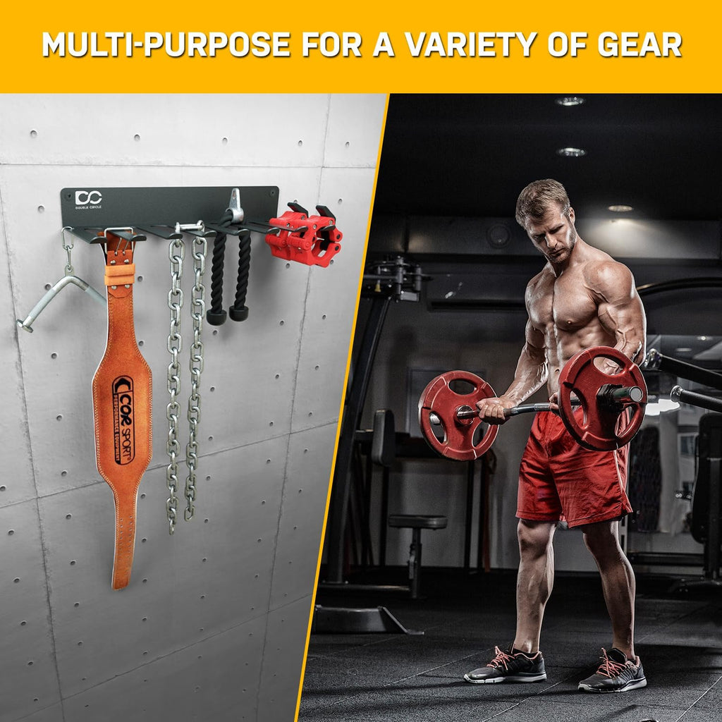 17 Inch Double Circle Gym Wall Storage Rack