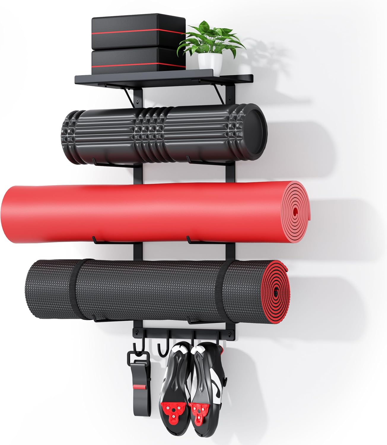 12-Hook Double Circle Wall Mount Gym Storage Rack