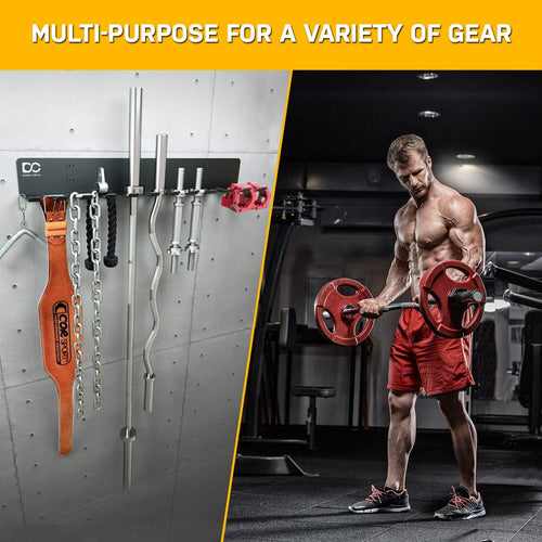 12-Hook Double Circle Wall Mount Gym Storage Rack